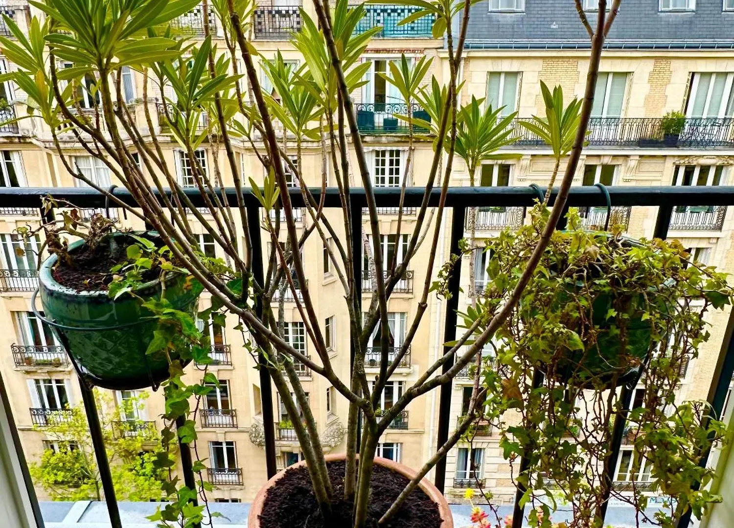Lovely Cosy Apartment - Paris 16Th